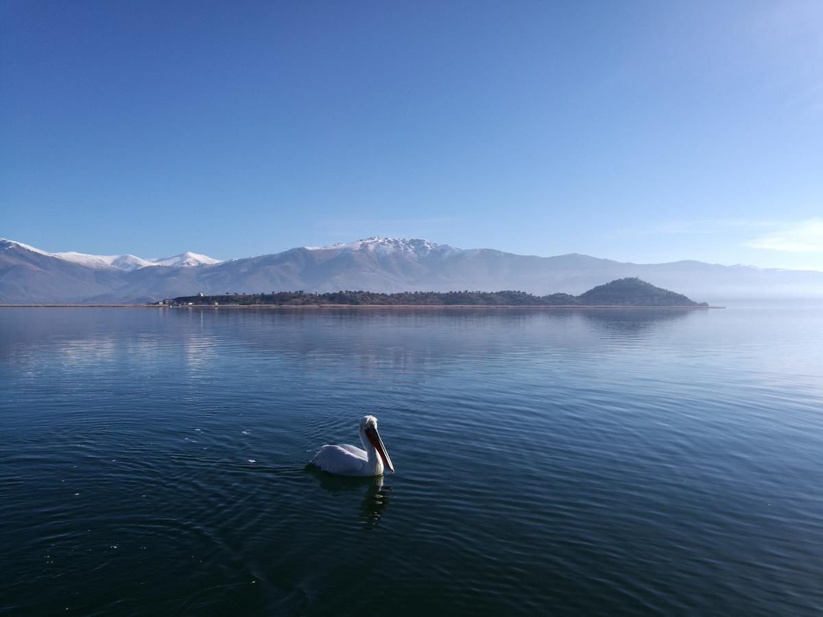 Agios Achillios Ξενοδοχείο Εξωτερικό φωτογραφία